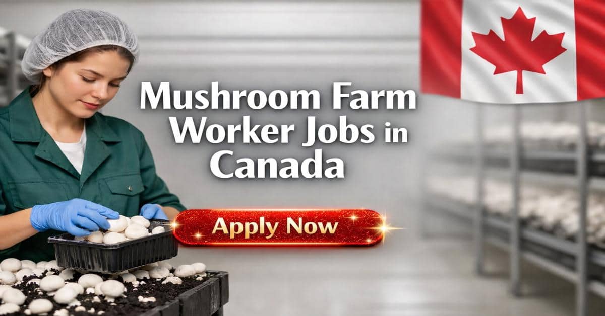 Mushroom Farm Worker Jobs in Canada