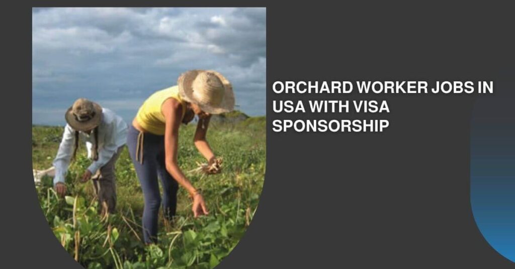Orchard Worker Jobs in USA