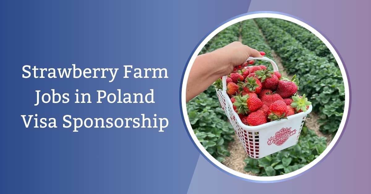 Strawberry Farm Jobs in Poland Visa Sponsorship