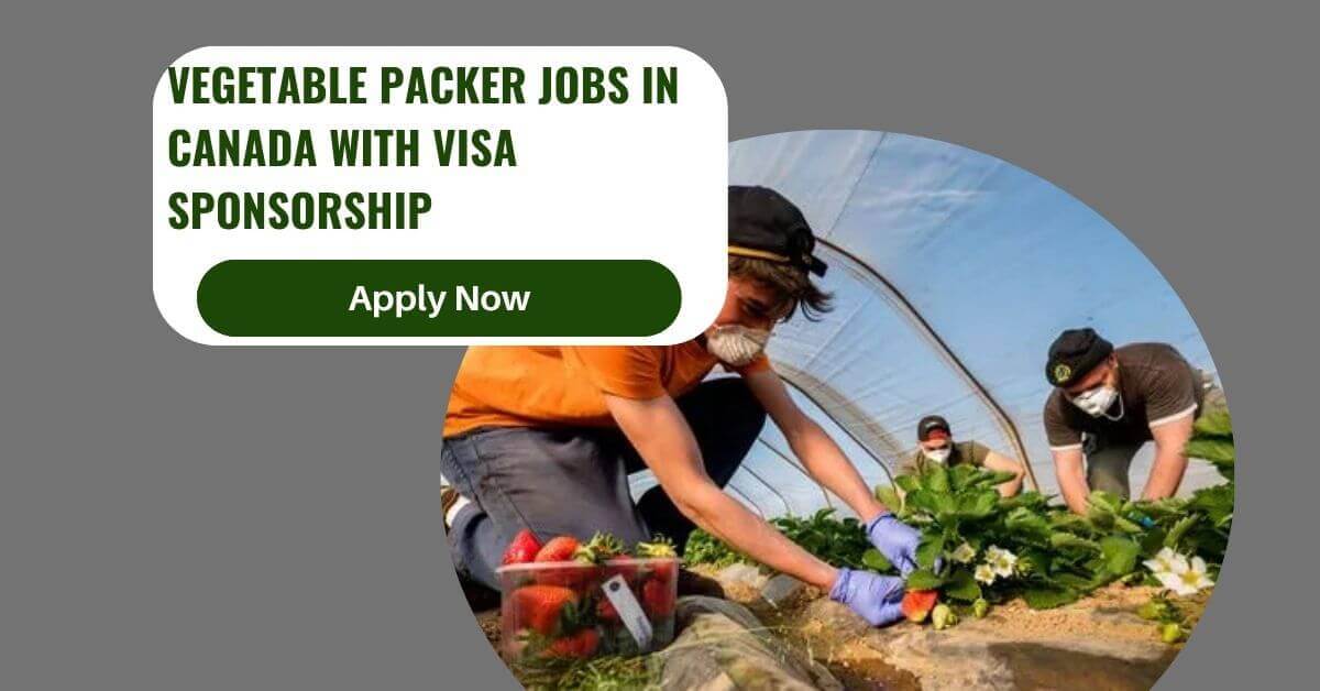 Vegetable Packer Jobs in Canada with Visa Sponsorship