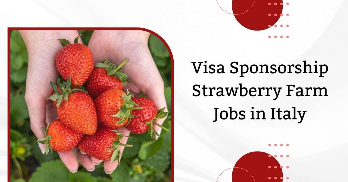 Visa Sponsorship Strawberry Farm Jobs in Italy