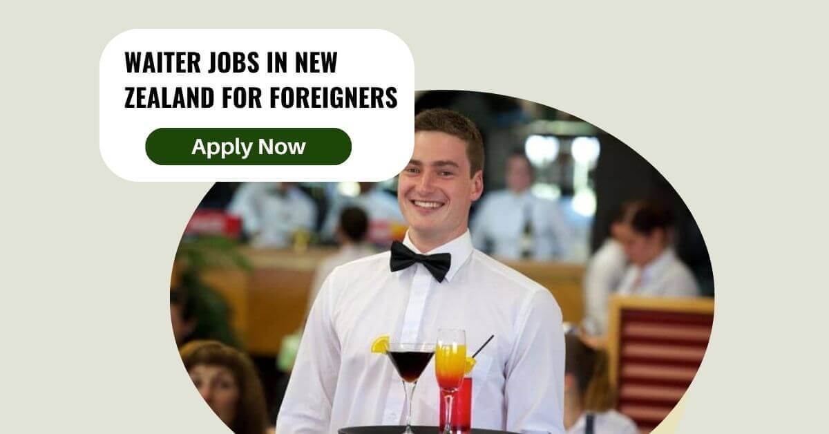 Waiter Jobs In New Zealand For Foreigners
