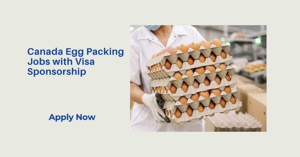 Canada Egg Packing Jobs