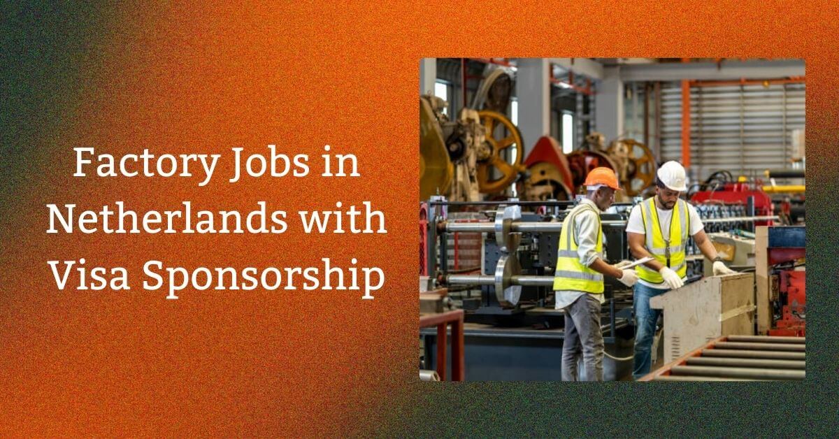 Factory Jobs in Netherlands with Visa Sponsorship