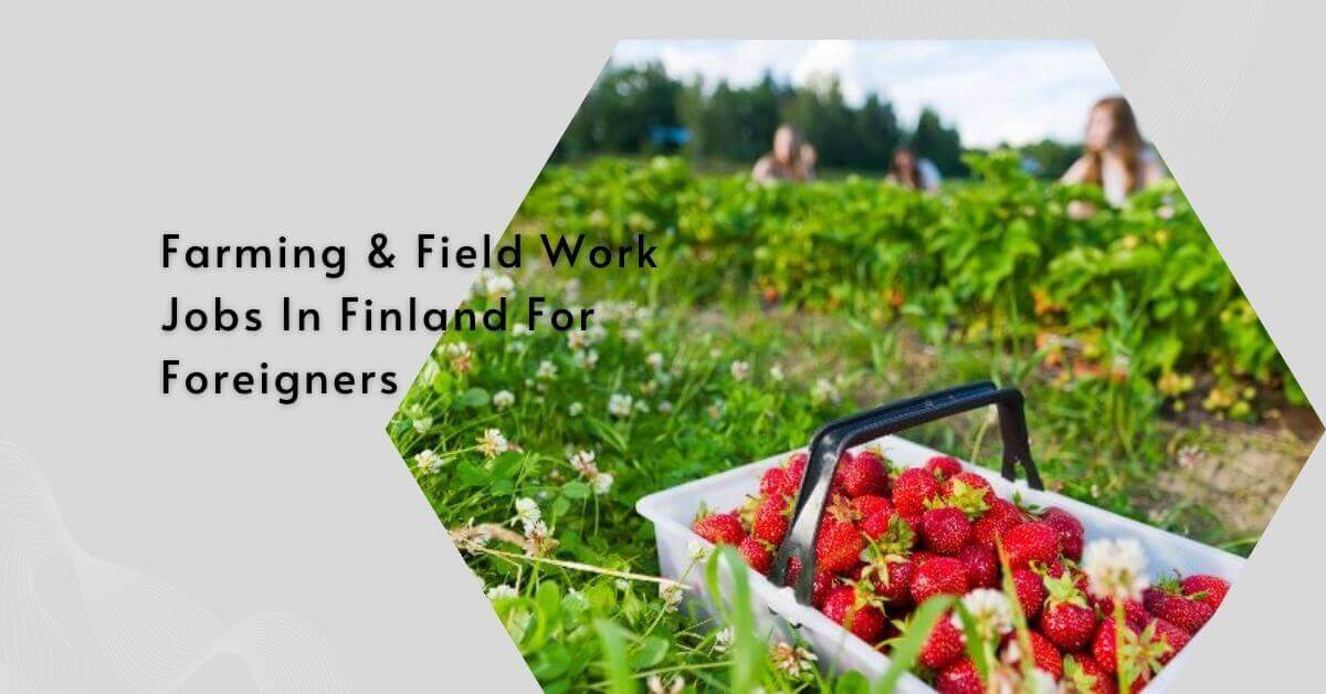 Farming & Field Work Jobs In Finland For Foreigners