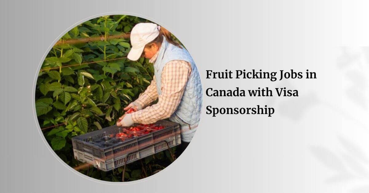 Fruit Picking Jobs in Canada with Visa Sponsorship
