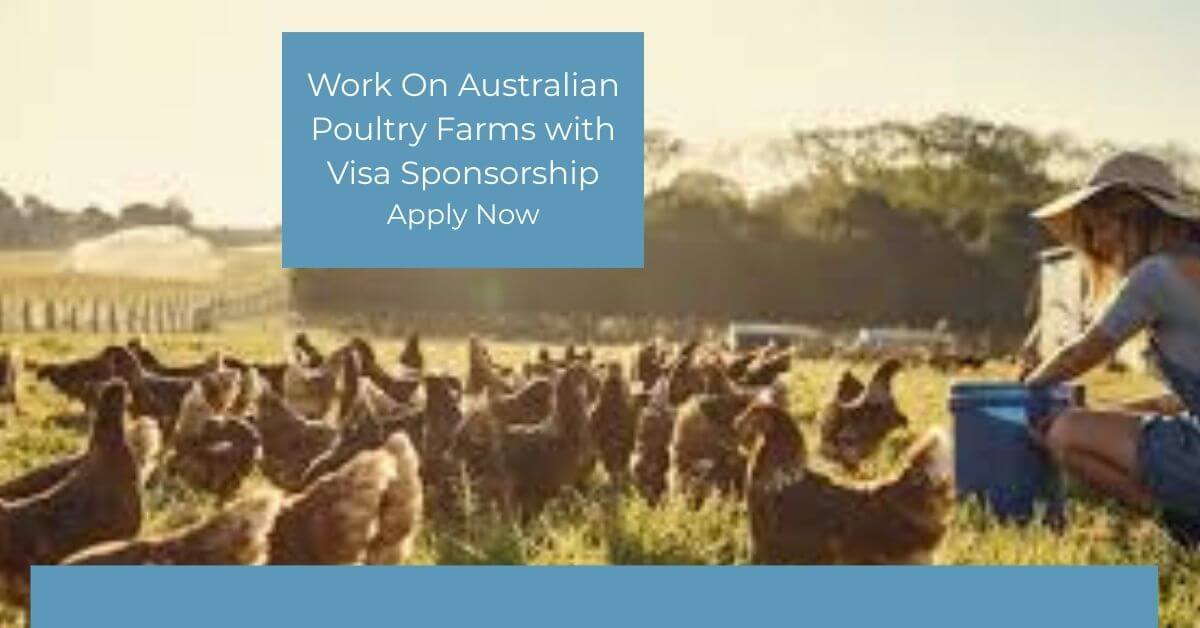 Work On Australian Poultry Farms with Visa Sponsorship