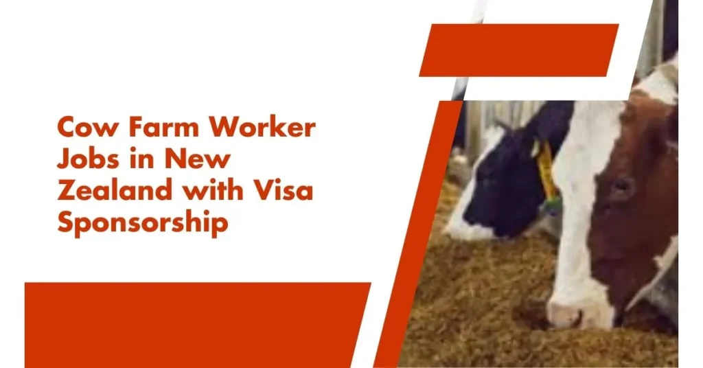 Cow Farm Worker Jobs in New Zealand