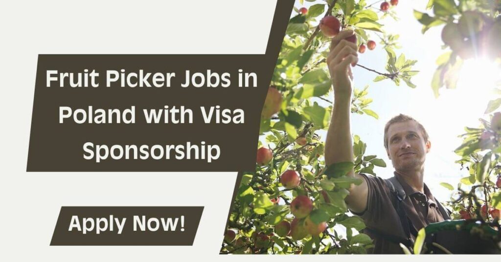 Fruit Picker Jobs in Poland with Visa Sponsorship
