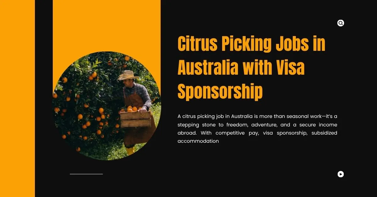 Citrus Picking Jobs in Australia