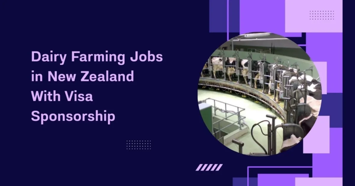 Dairy Farming Jobs in New Zealand