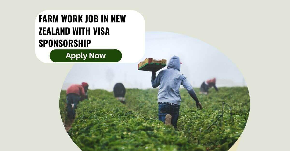 Farm Work Job in New Zealand with Visa Sponsorship