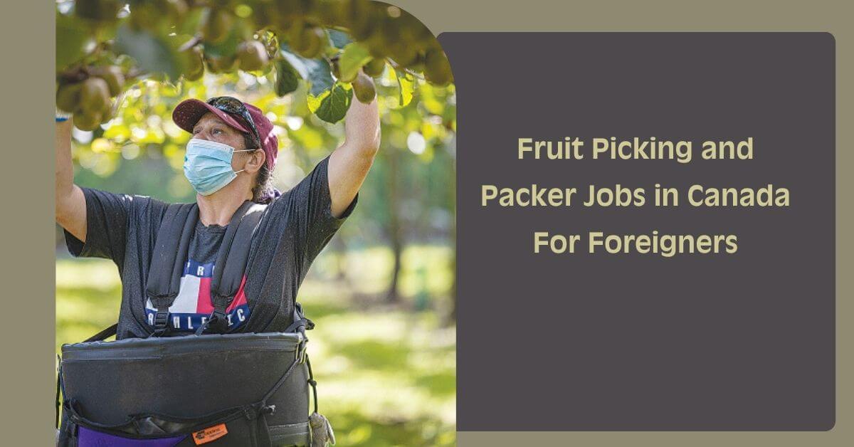 Fruit Picking and Packer Jobs in Canada For Foreigners