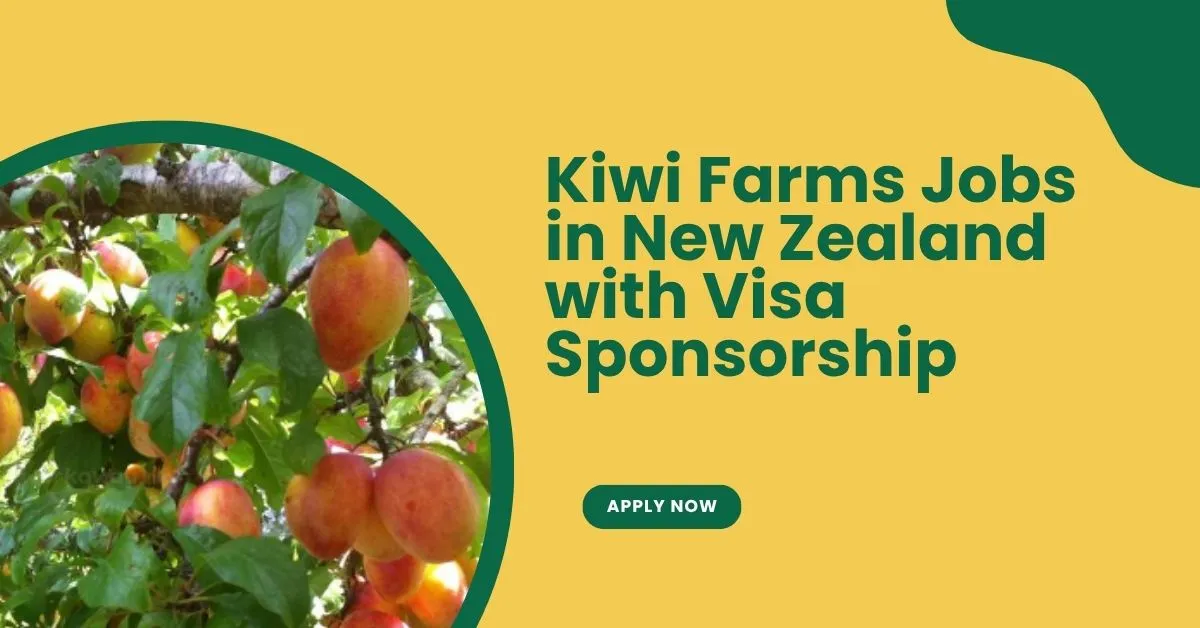 Kiwi Farms Jobs in New Zealand with Visa Sponsorship