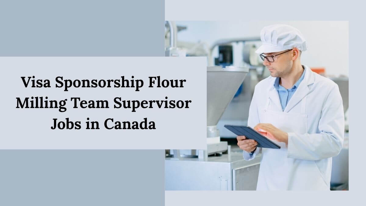 Visa Sponsorship Flour Milling Team Supervisor Jobs in Canada