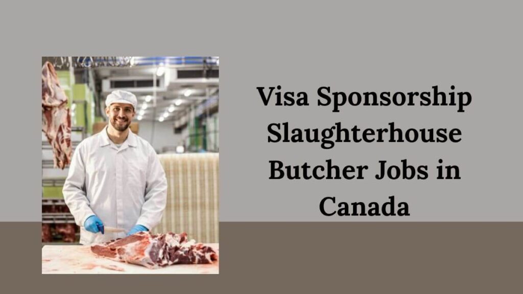 Visa Sponsorship Slaughterhouse Butcher Jobs in Canada