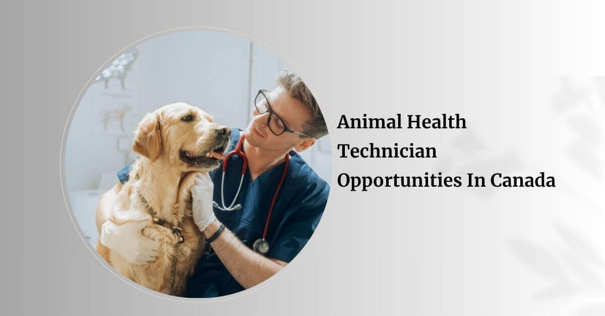 Animal Health Technician Opportunities In Canada