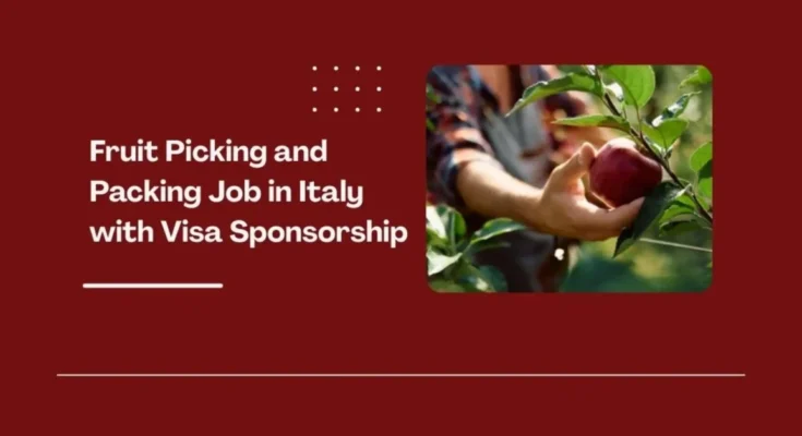 Fruit Picking and Packing Job in Italy