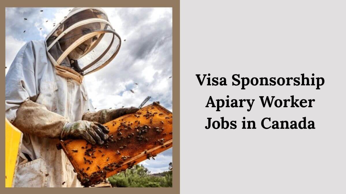 Visa Sponsorship Apiary Worker Jobs in Canada
