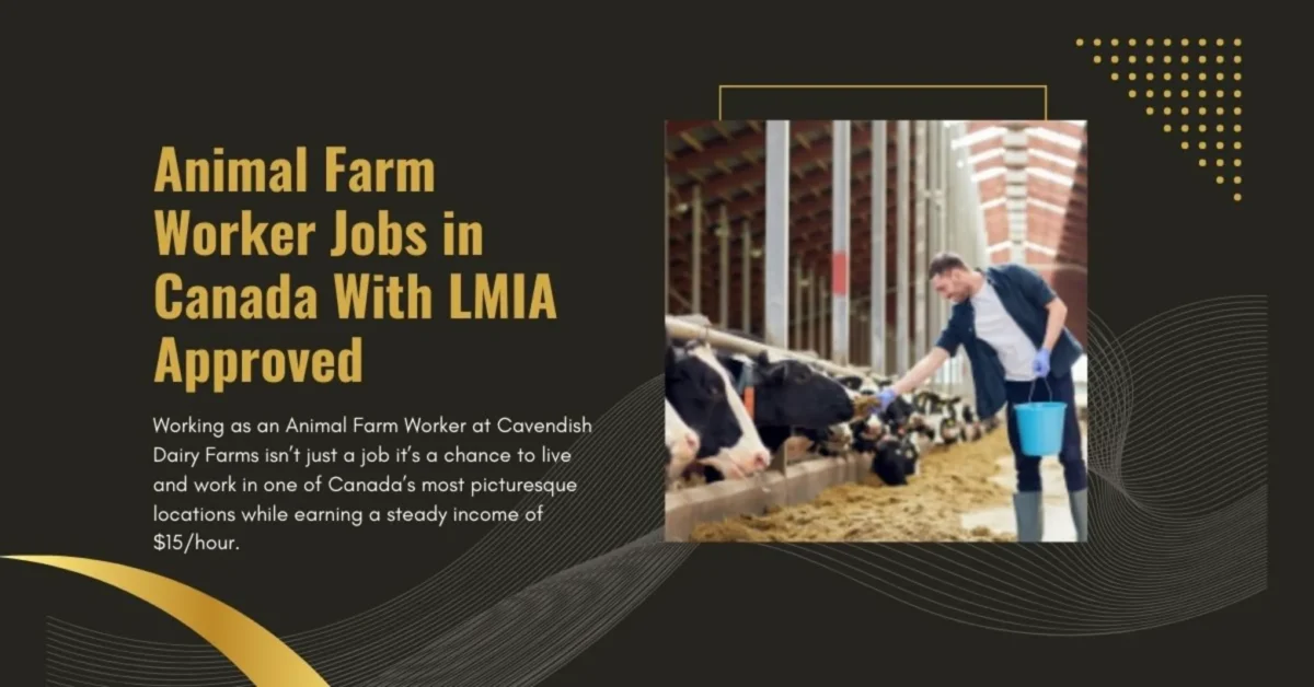 Animal Farm Worker Jobs in Canada