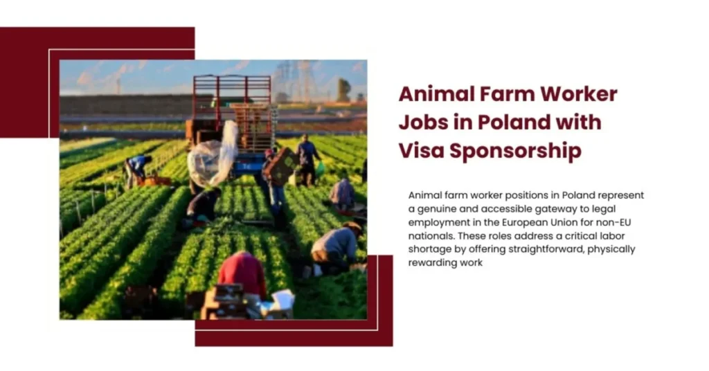 Animal Farm Worker Jobs in Poland