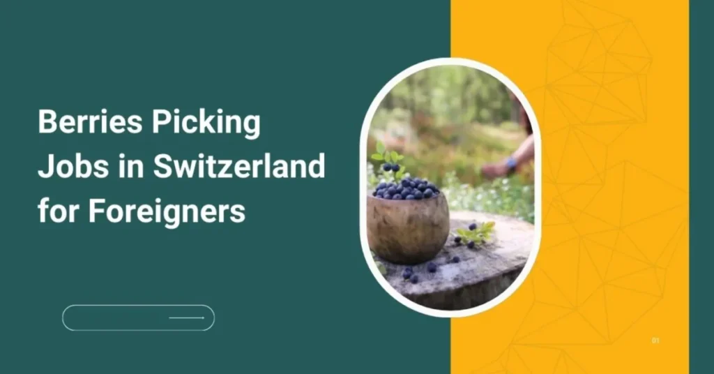 Berries Picking Jobs in Switzerland