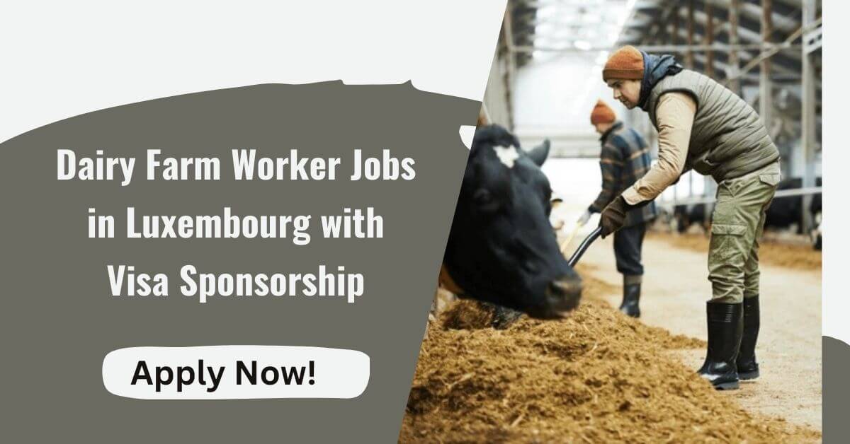 Dairy Farm Worker Jobs in Luxembourg with Visa Sponsorship