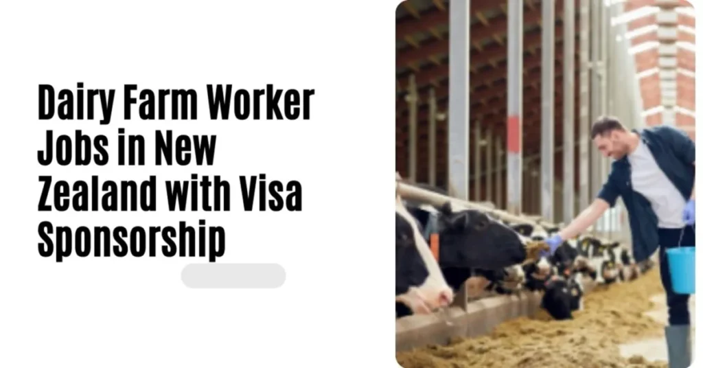 Dairy Farm Worker Jobs in New Zealand