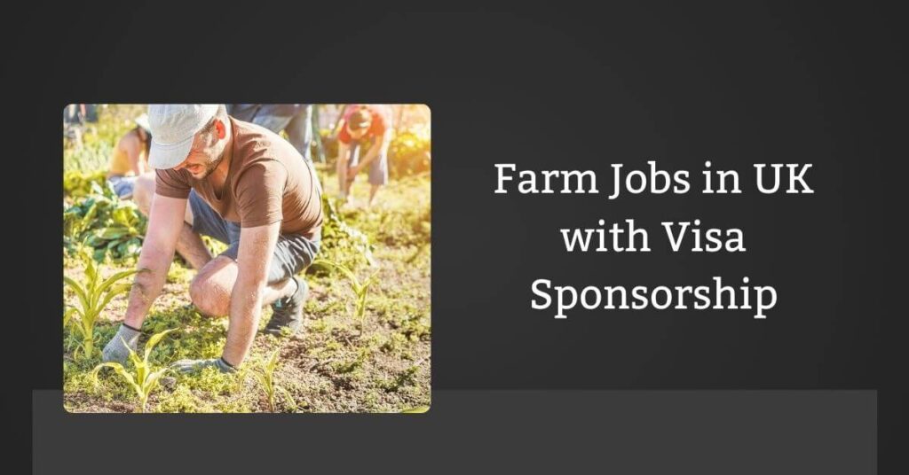 Farm Jobs in UK