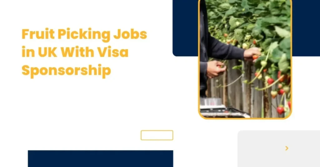 Fruit Picking Jobs in UK