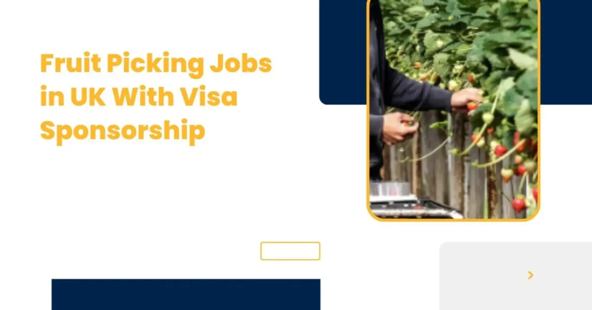 Fruit Picking Jobs in UK