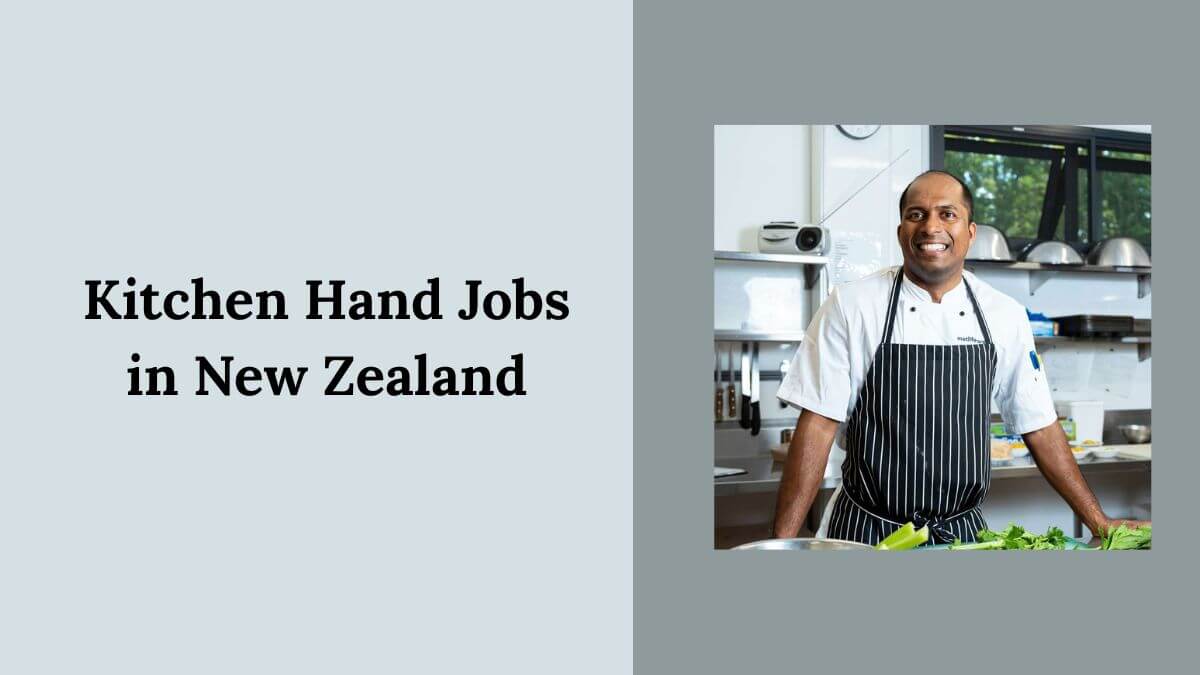 Kitchen Hand Jobs in New Zealand