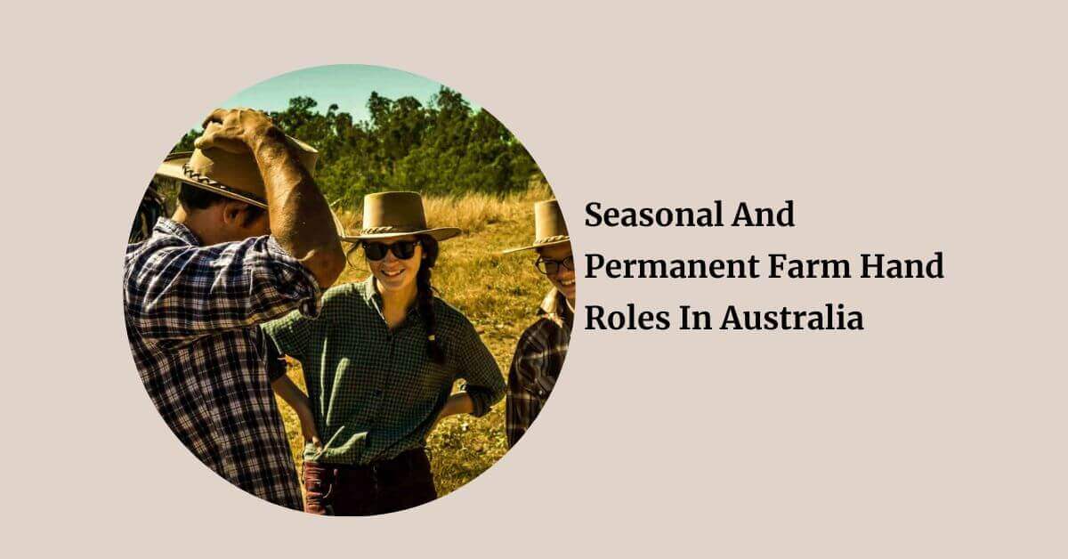Seasonal And Permanent Farm Hand Roles In Australia