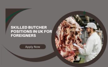 Skilled Butcher Positions In UK For Foreigners