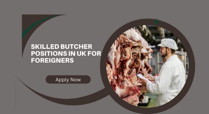 Skilled Butcher Positions In UK For Foreigners