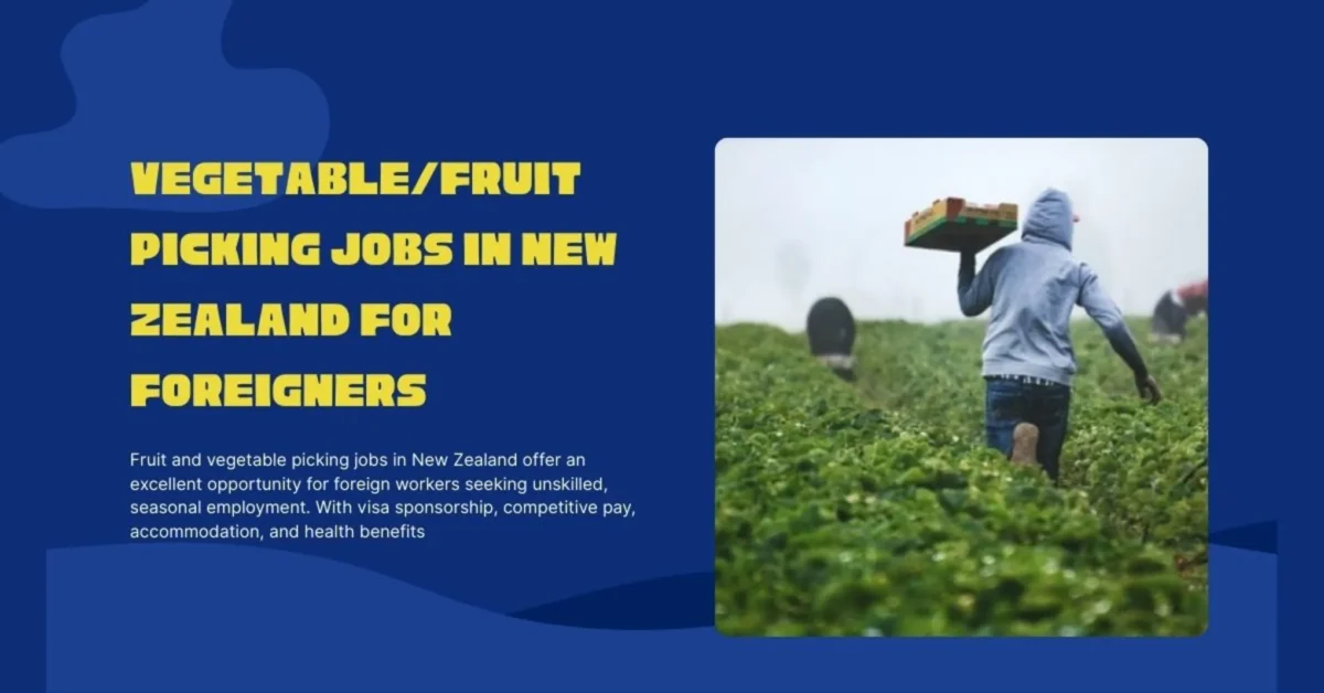 Vegetable/Fruit Picking Jobs in New Zealand For Foreigners