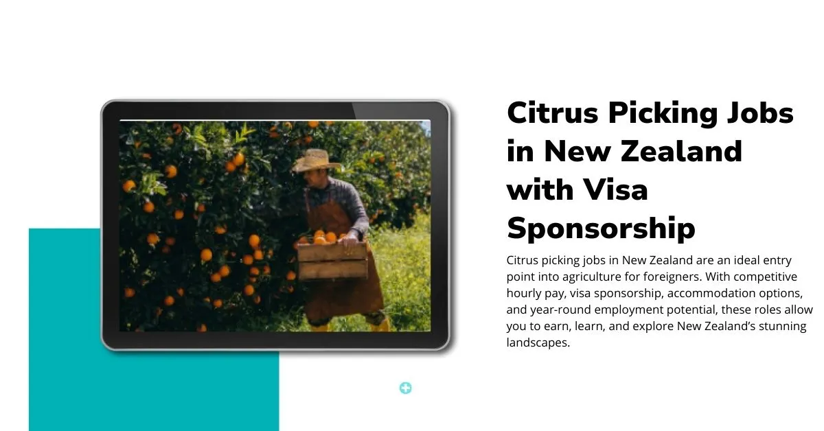 Citrus Picking Jobs in New Zealand