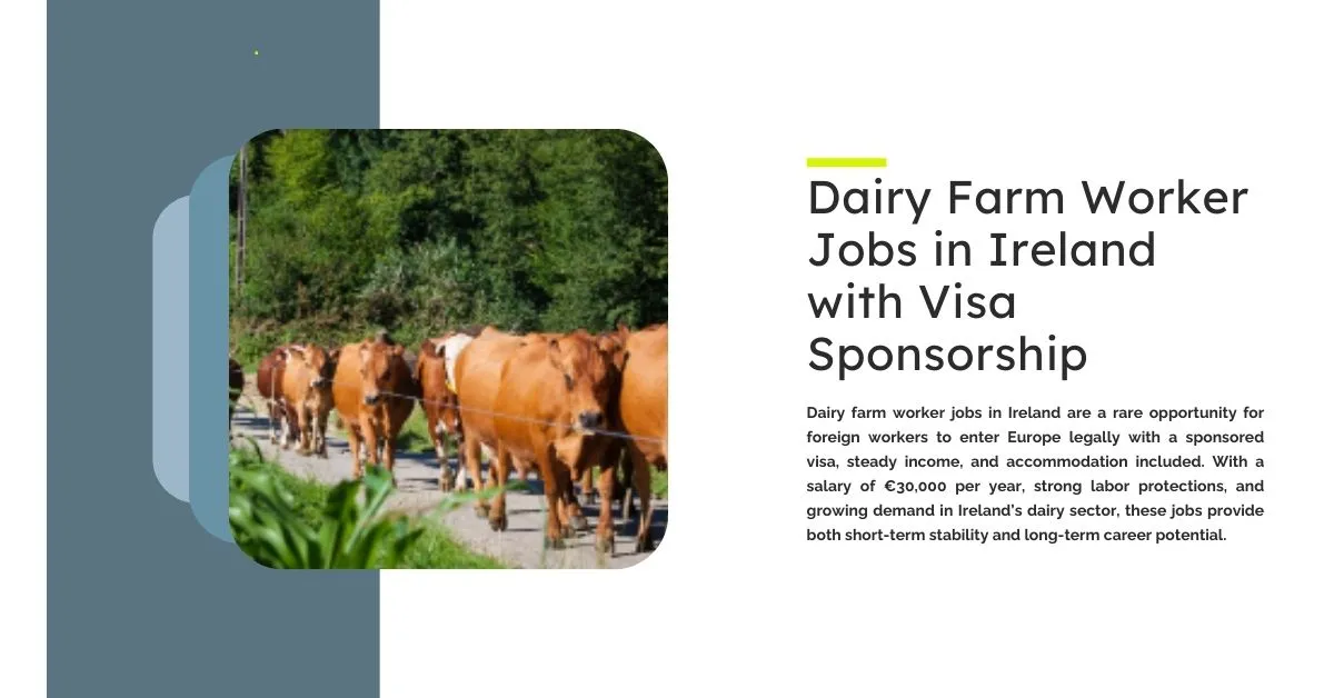 Dairy Farm Worker Jobs in Ireland