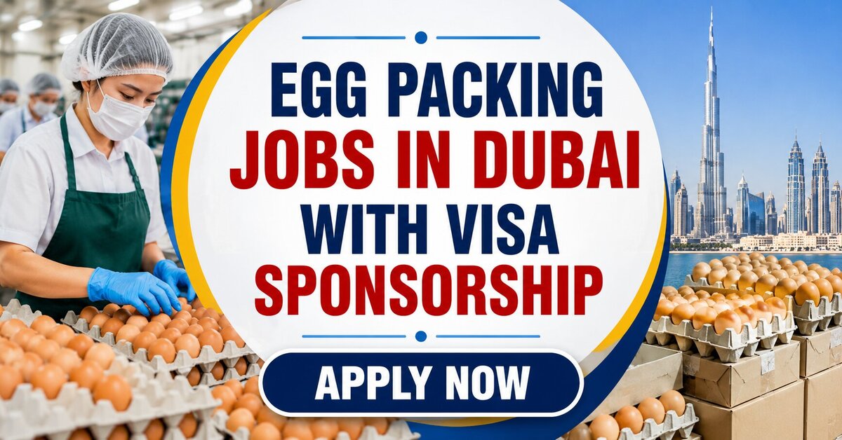 Egg Packing Jobs in Dubai With Visa Sponsorship