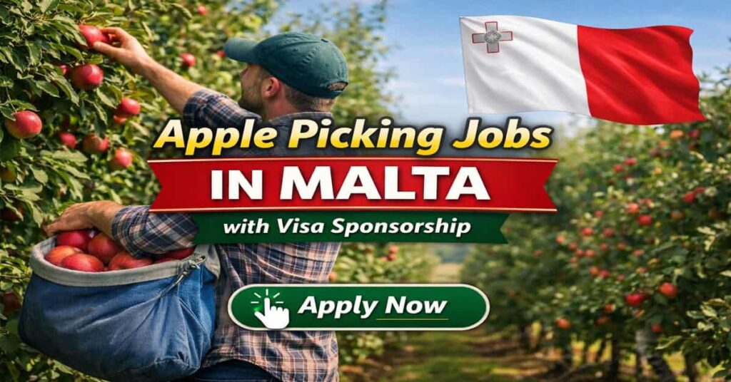 Apple Picking Jobs in Malta with Visa Sponsorship