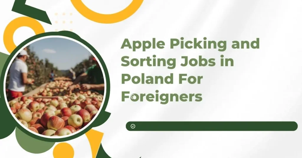Apple Picking and Sorting Jobs in Poland