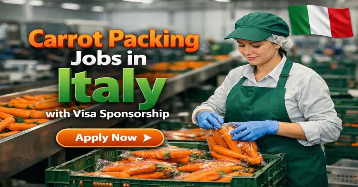 Carrot Packing Jobs in Italy with Visa Sponsorship