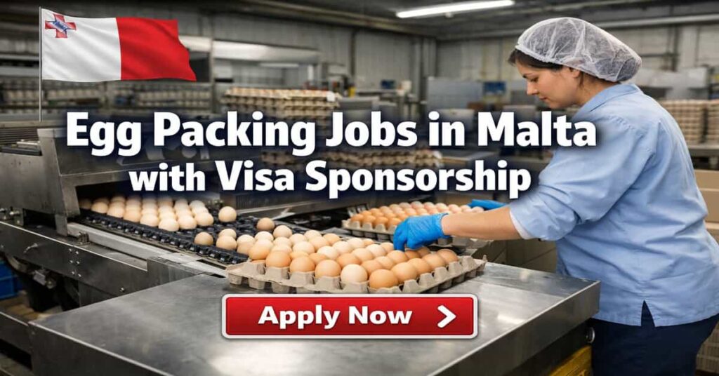 Egg Packing Jobs in Malta with Visa Sponsorship