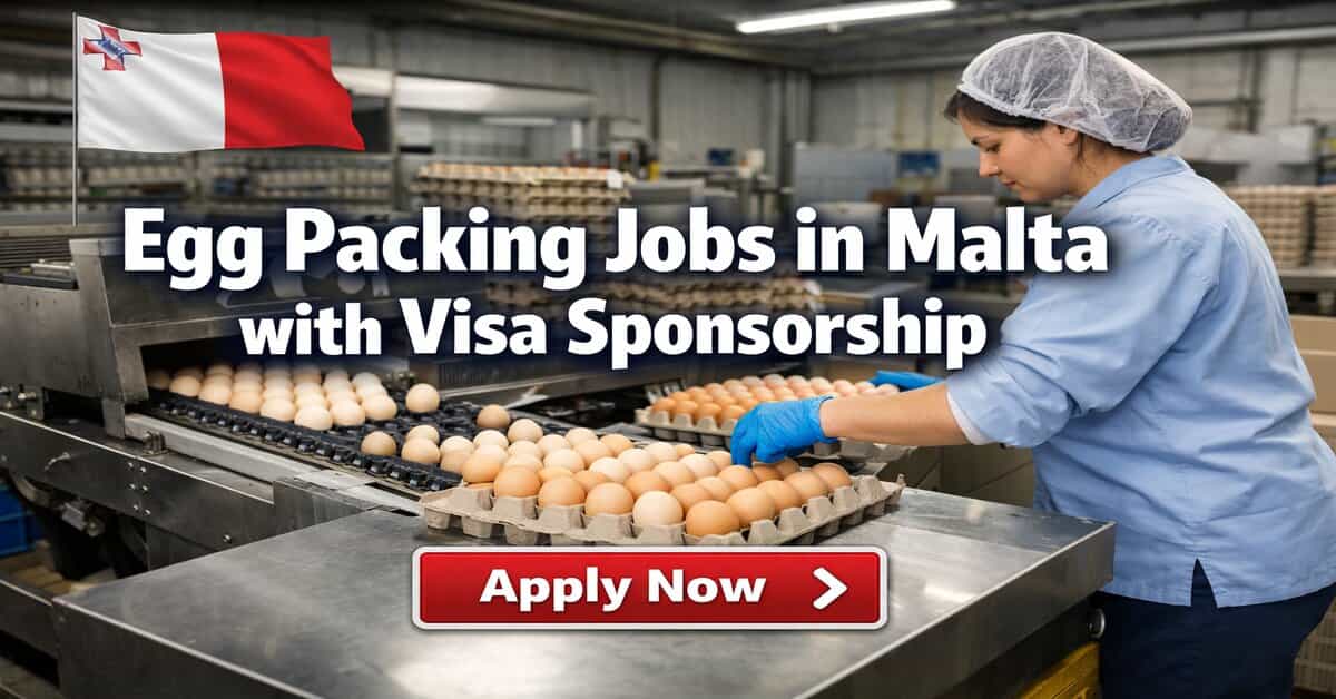 Egg Packing Jobs in Malta with Visa Sponsorship