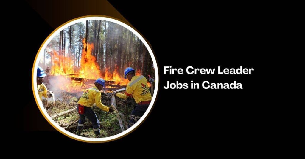 Fire Crew Leader Jobs in Canada