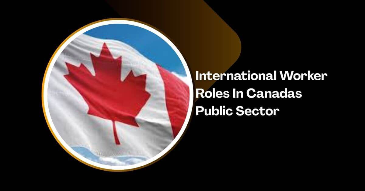 International Worker Roles In Canadas Public Sector