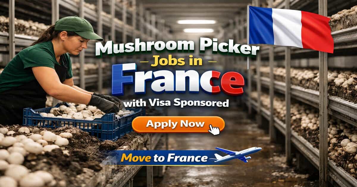 Mushroom Picker Jobs in France with Visa Sponsored