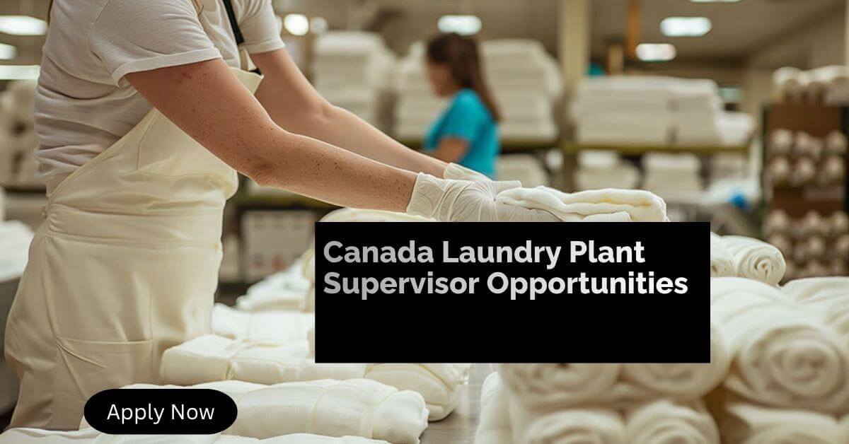 Canada Laundry Plant Supervisor Opportunities