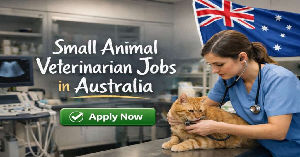 Small Animal Veterinarian Jobs in Australia