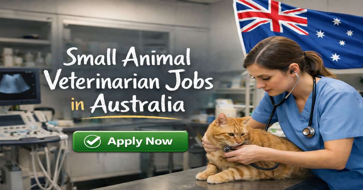 Small Animal Veterinarian Jobs in Australia
